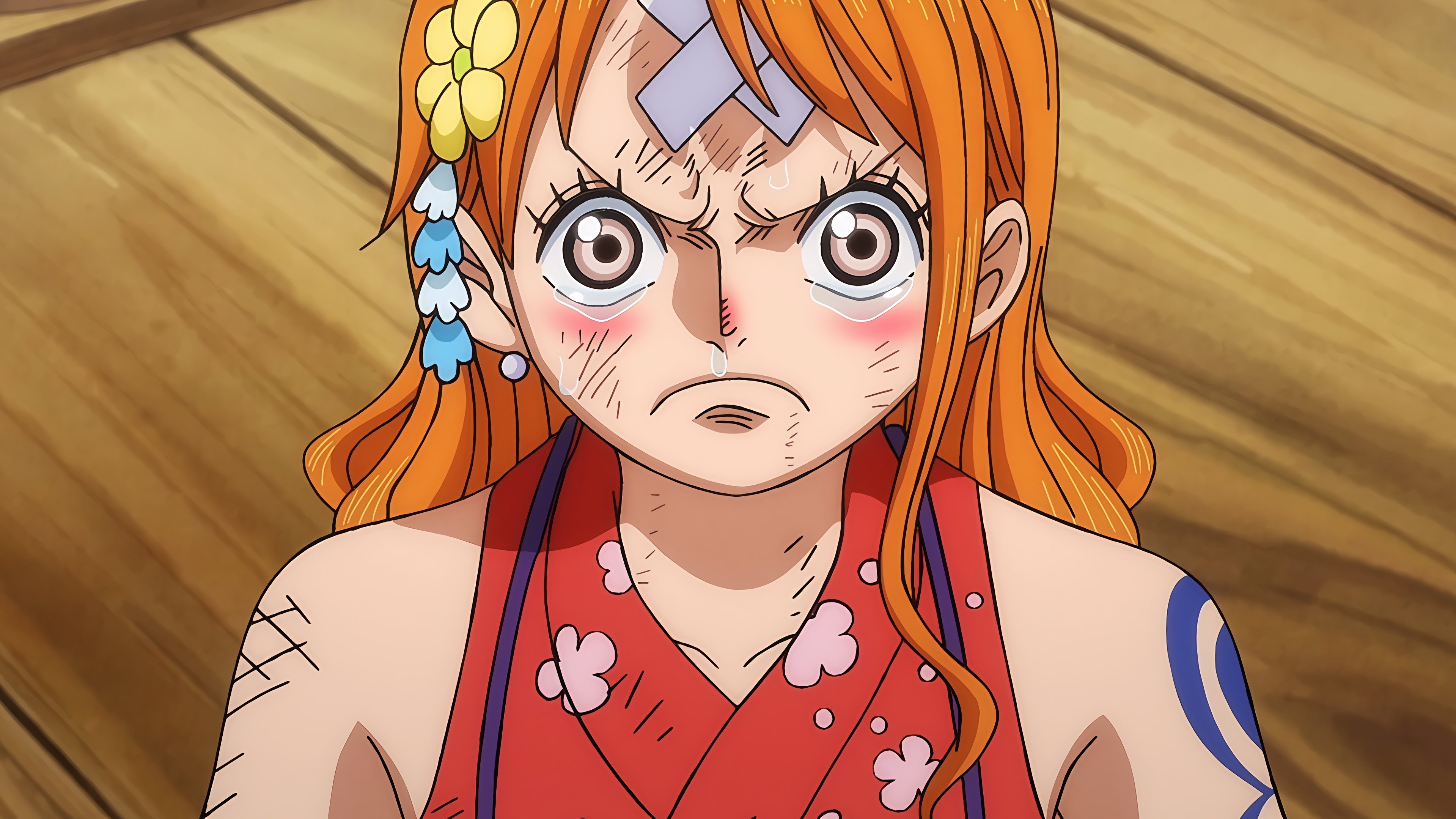 One Piece Season 21 :Episode 1070  Luffy Is Defeated?! The Determination of Those Left Behind