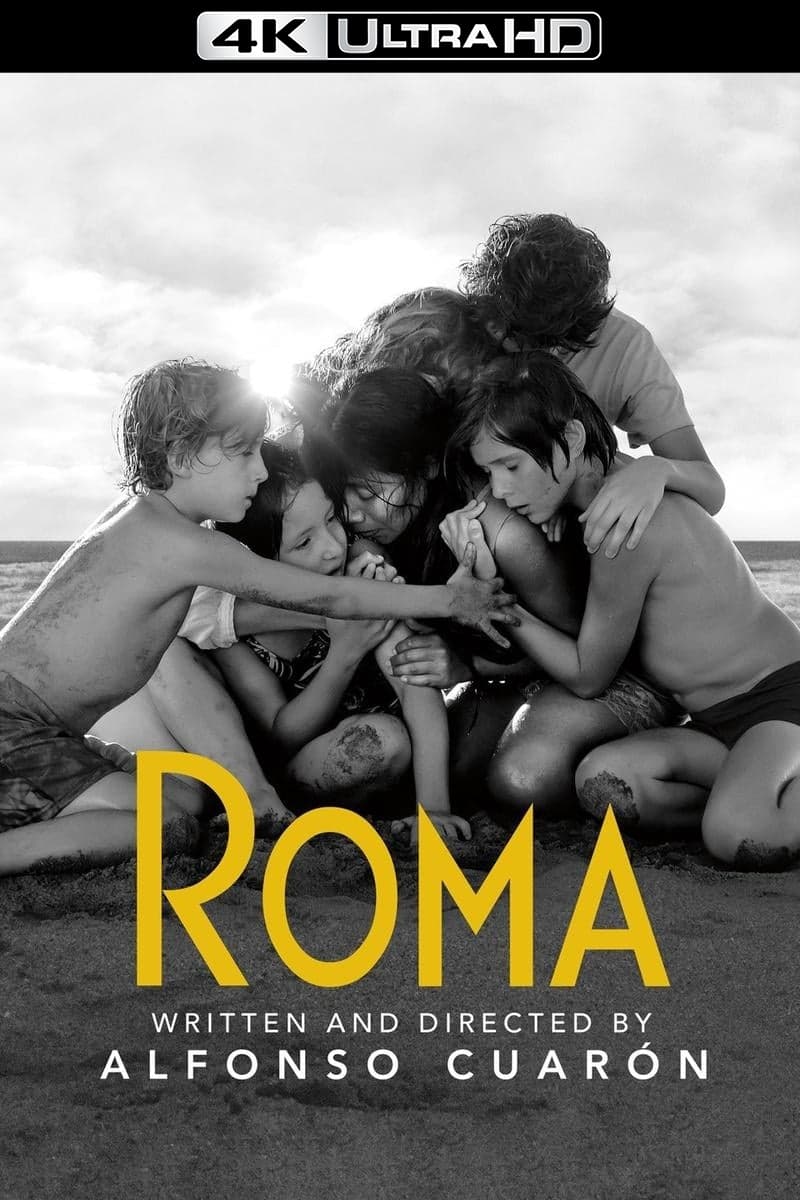 Affiche du film Roma 17312