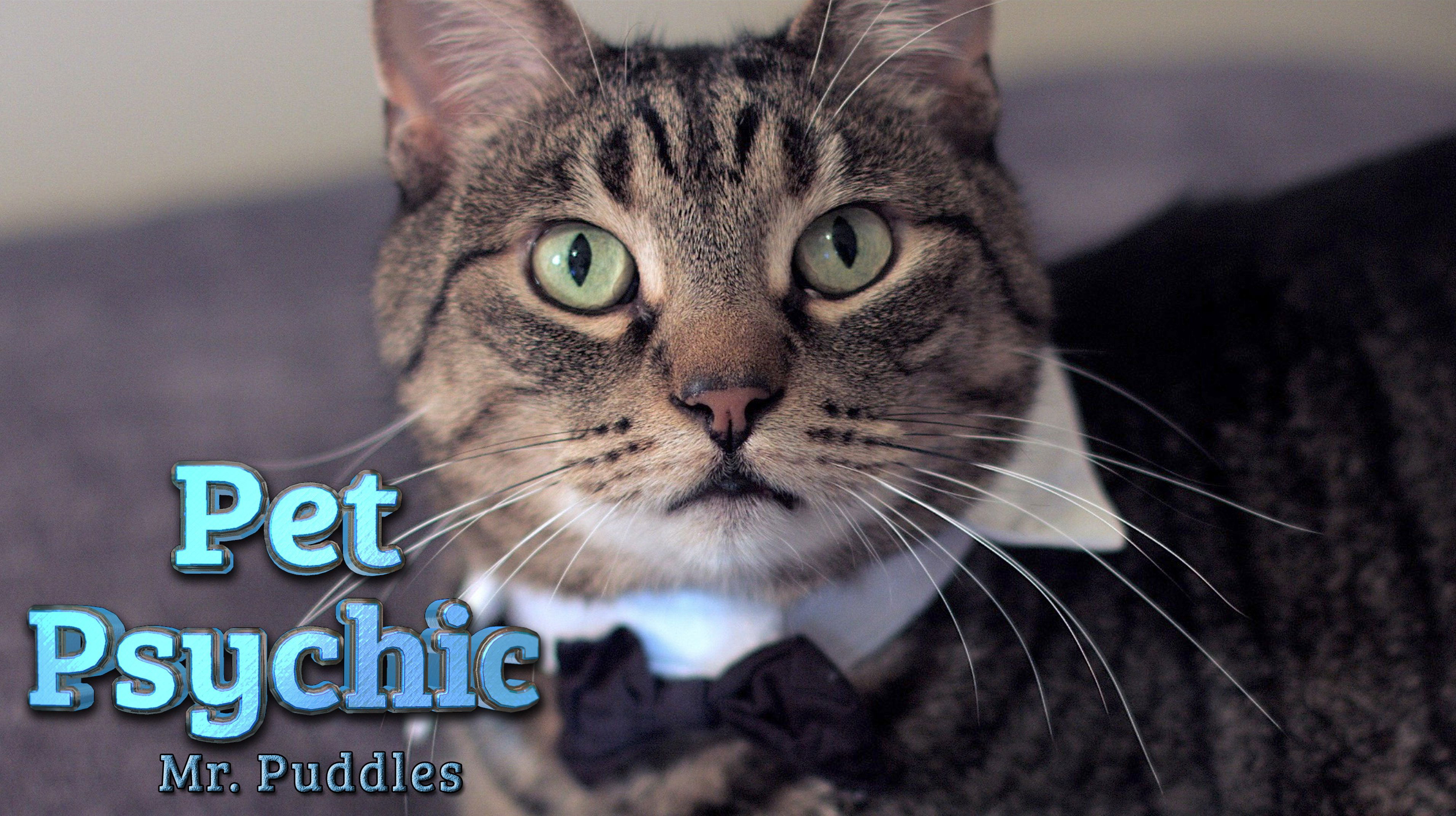 Thumbnail for Mr. Puddles Season 1 Episode 4