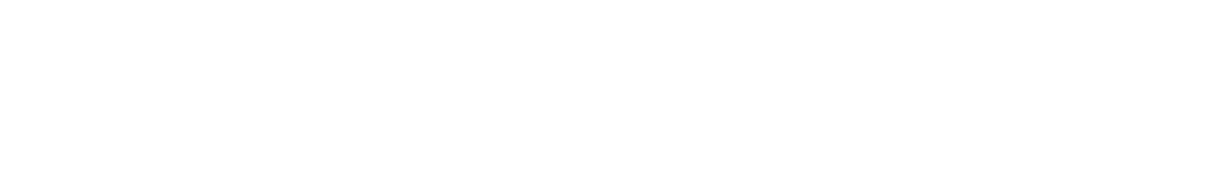 Strobe Edge logo