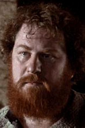 et billede af Peter Davidson