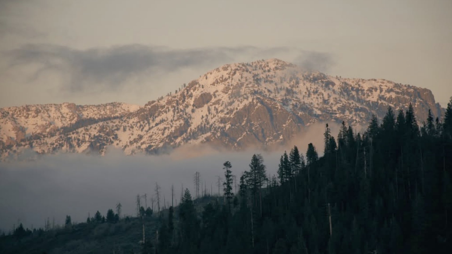 To the Mountains