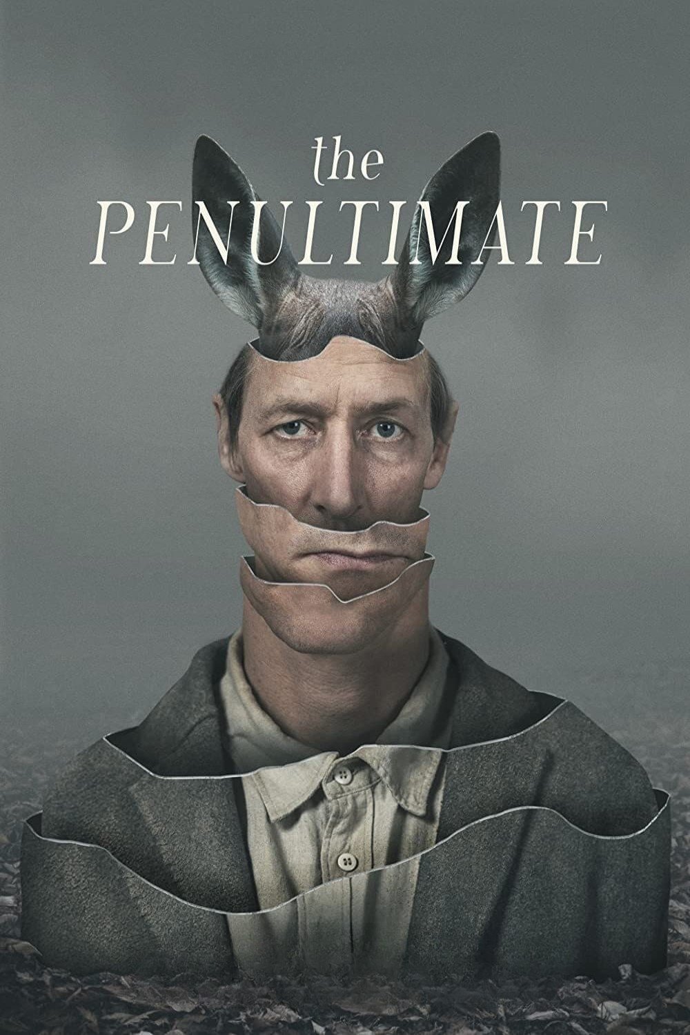 The Penultimate