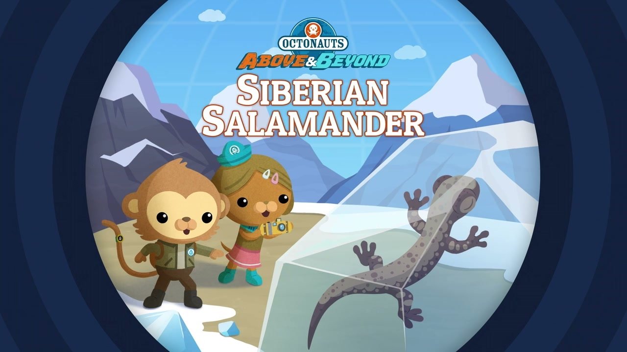 Thumbnail for The Octonauts and the Siberian Salamander Season 1 Episode 5