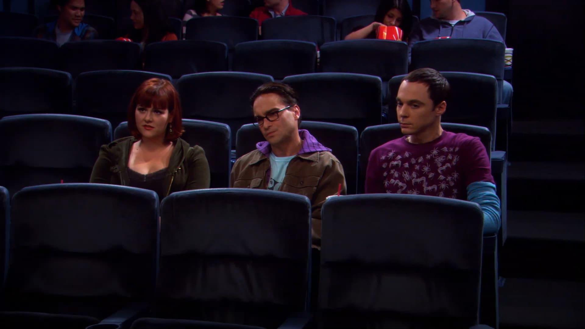 The Big Bang Theory Staffel 2 :Folge 9 