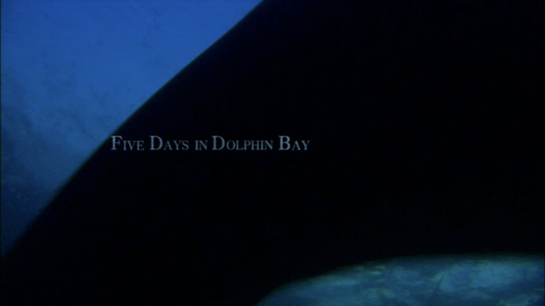 Five days in Dolphin Bay
