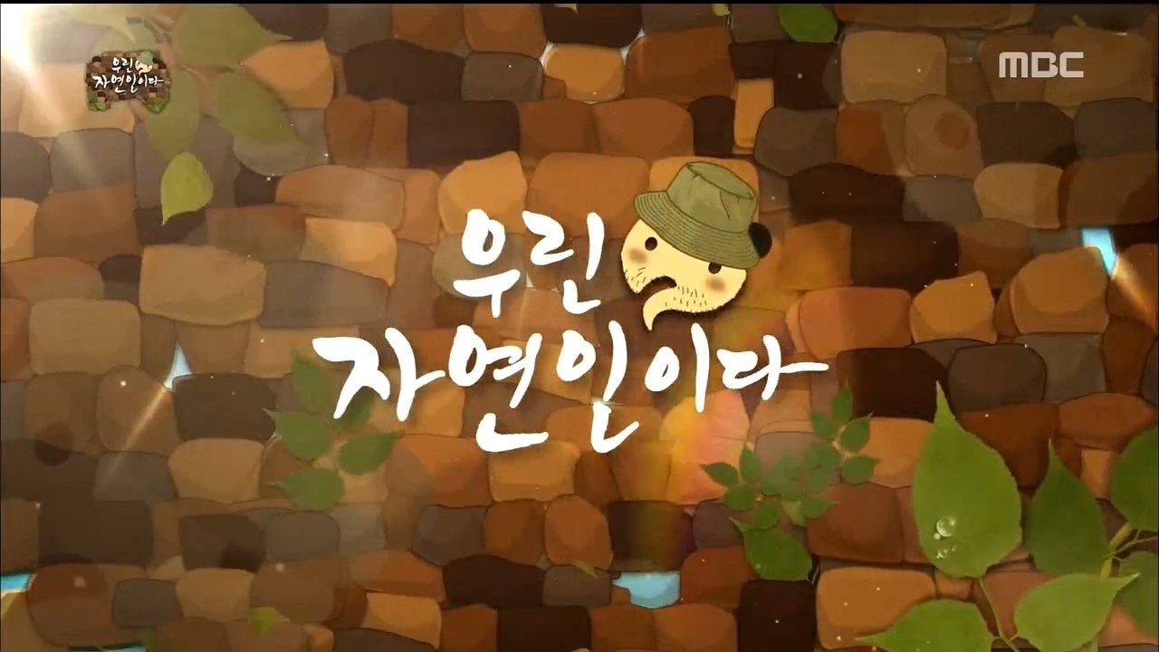 Infinite Challenge