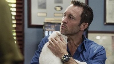 Hawaii Five-0 Staffel 9 :Folge 21 