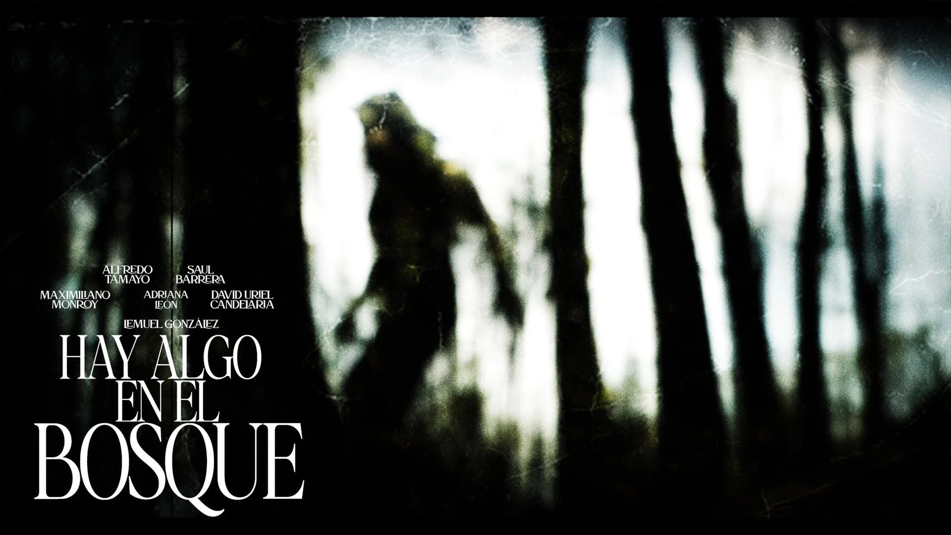 Imagem do Filme Hay algo en el bosque
