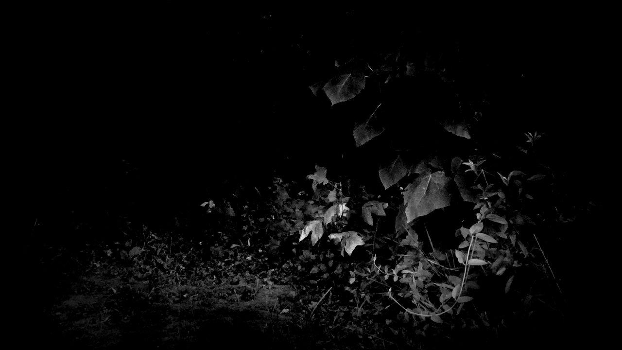Imagem do Filme Burn Out Like a Dying Candle in the Cradle of my Arms