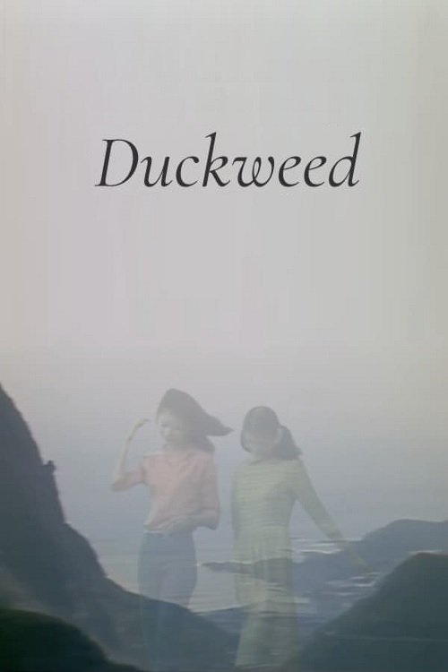 Duckweed