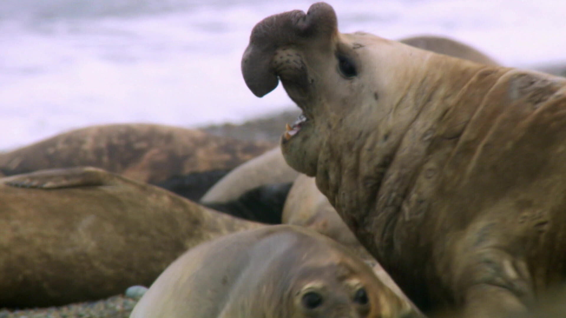 Earth Odyssey with Dylan Dreyer S03E23 backdrop