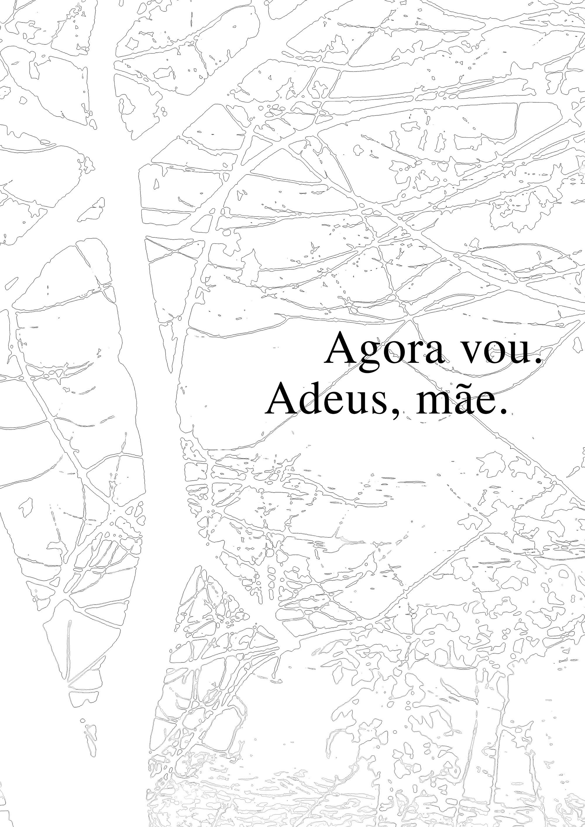 Agora vou. Adeus, mãe.