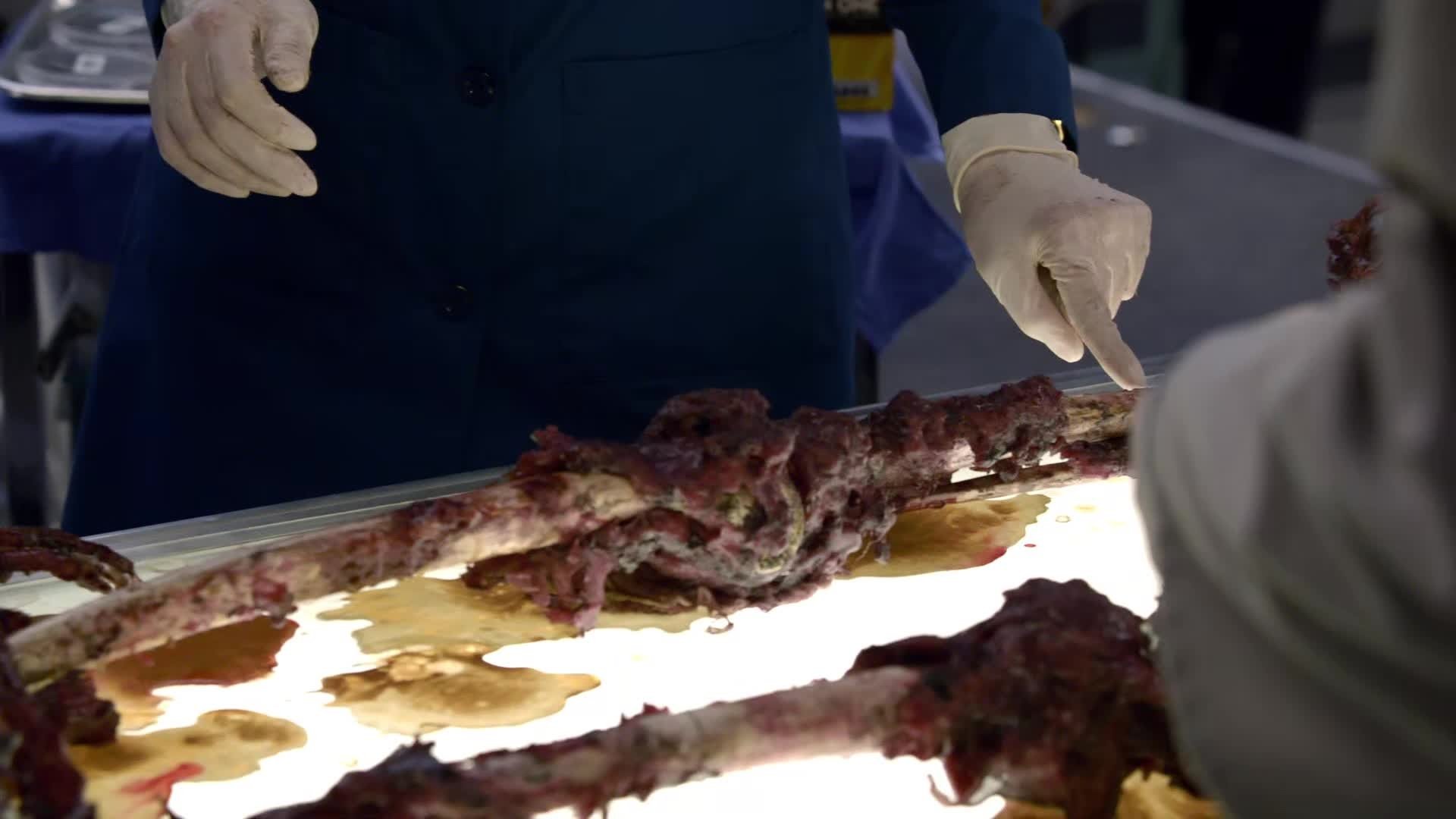 Bones - Die Knochenjägerin Staffel 5 :Folge 9 