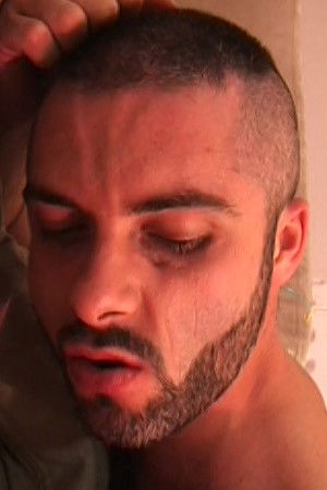 et billede af Leonardo