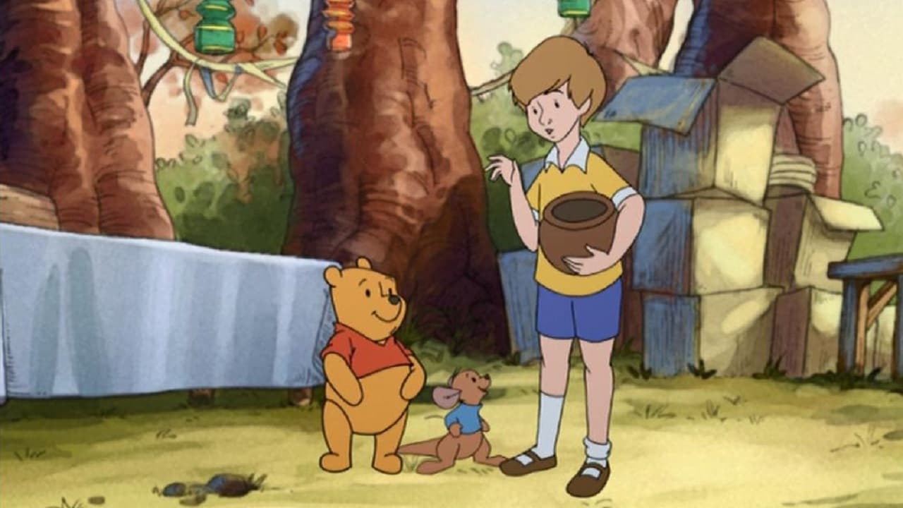 Winnie the Pooh: 123's (2004)