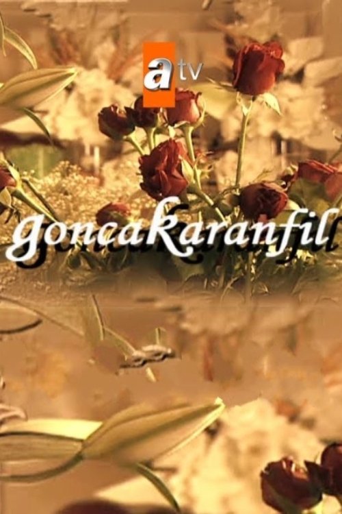 Content cover