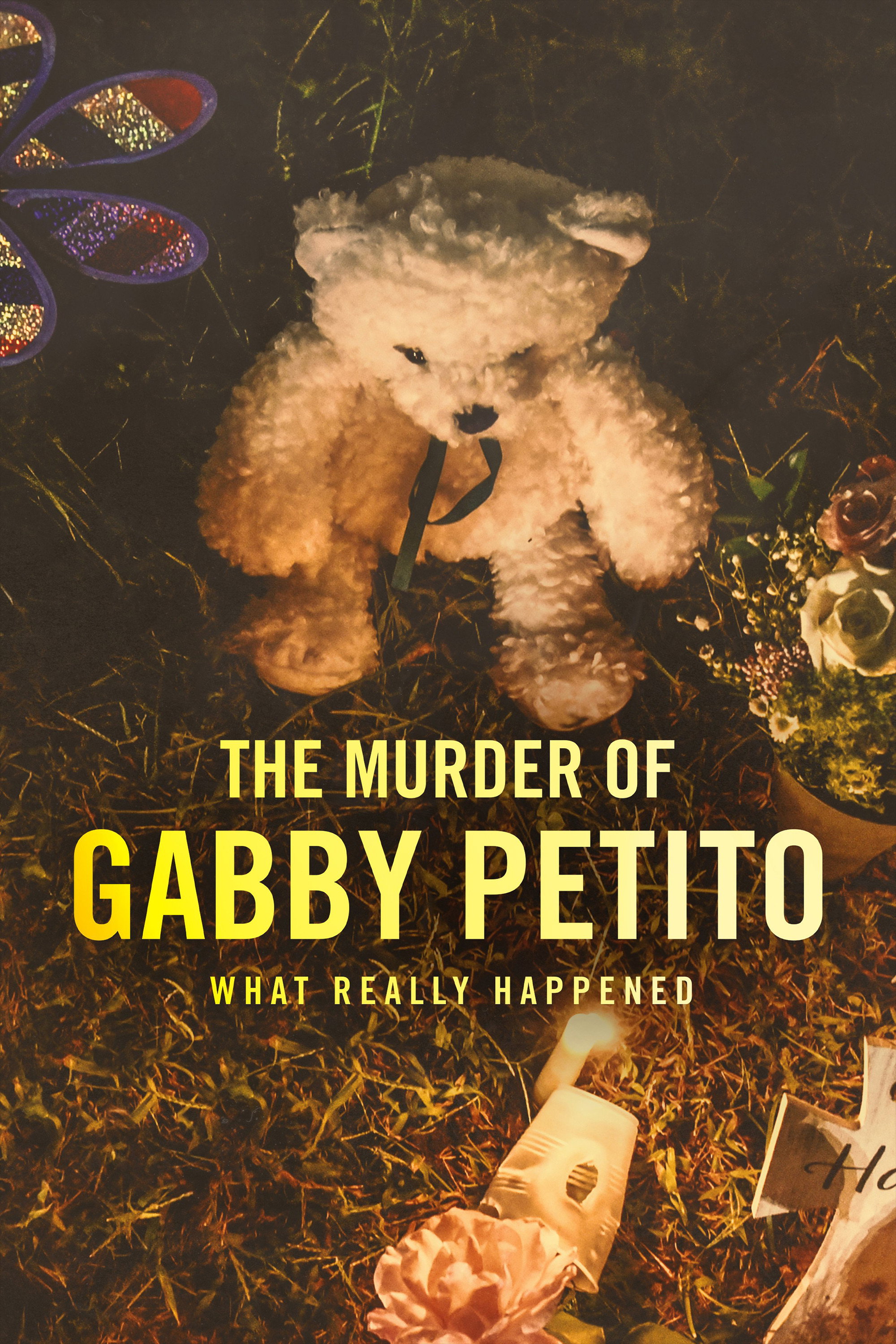 The Murder of Gabby Petito: What Really Happened