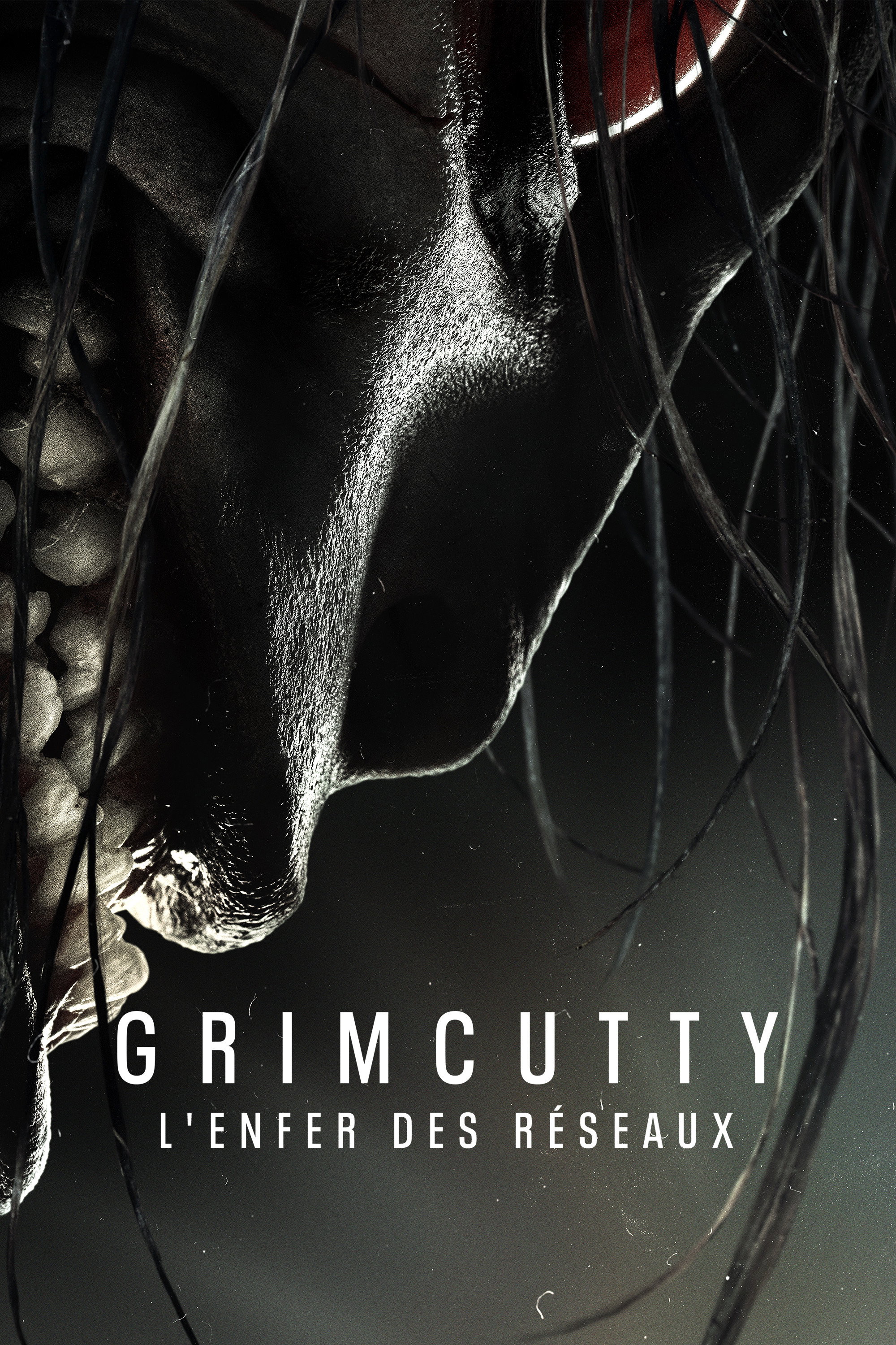 Affiche de Grimcutty : L'Enfer des réseaux