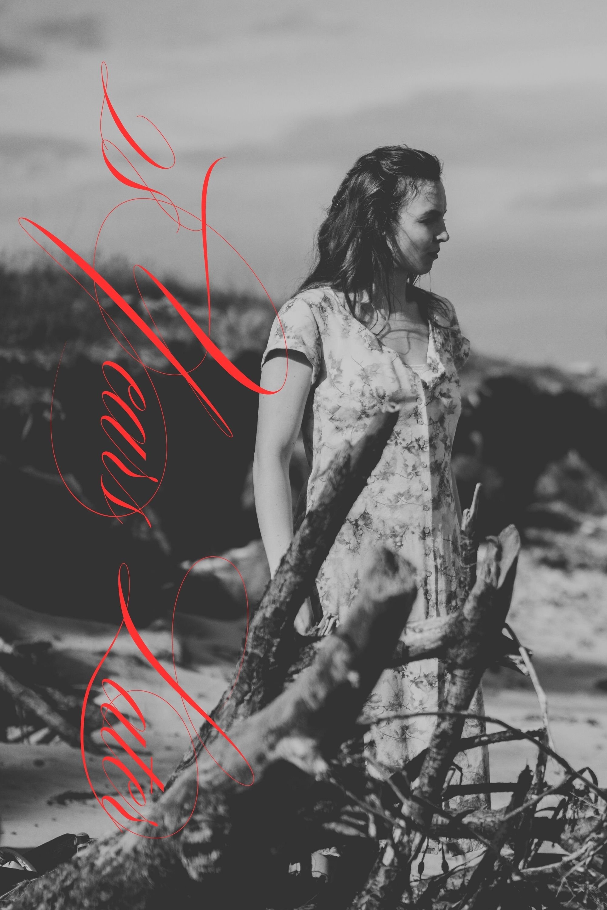 image-preview