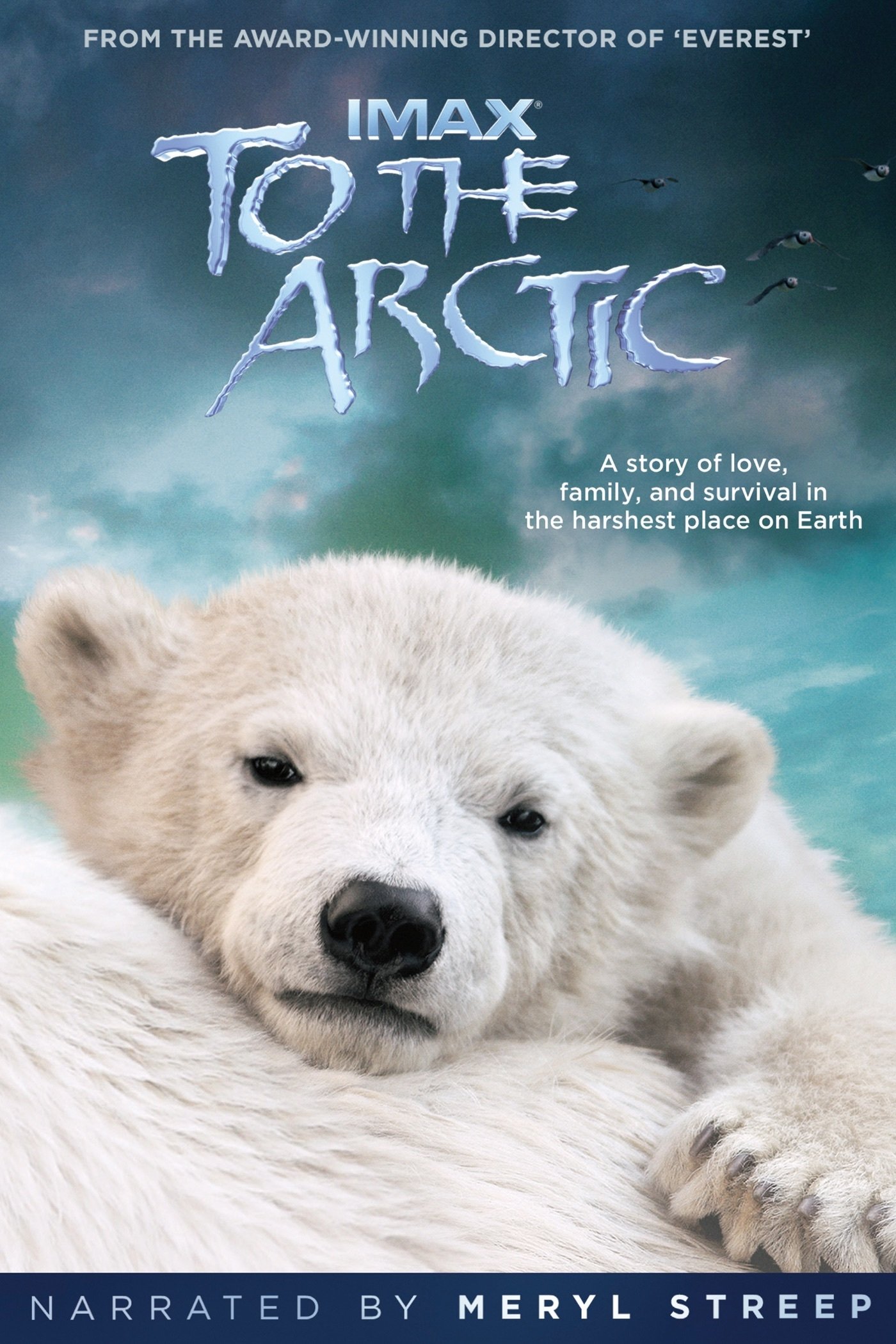 To the Arctic 3D