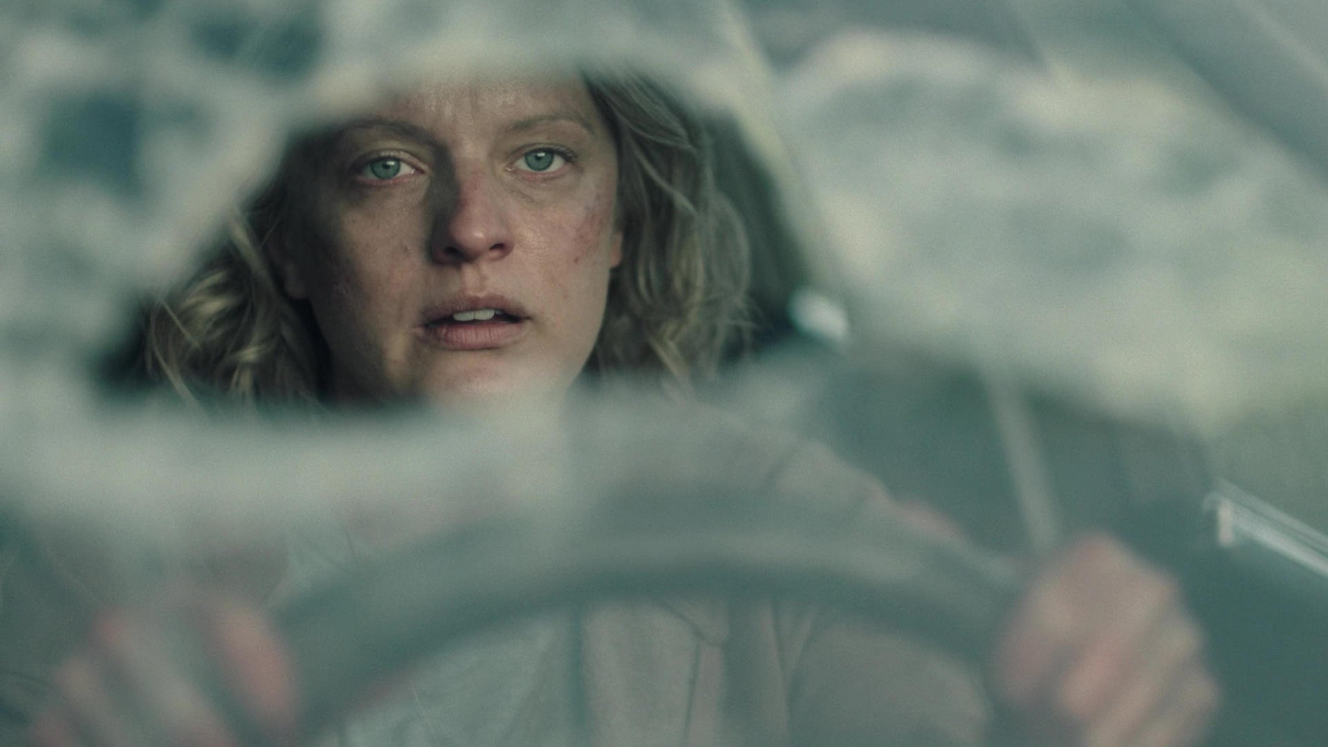 The Handmaid's Tale
