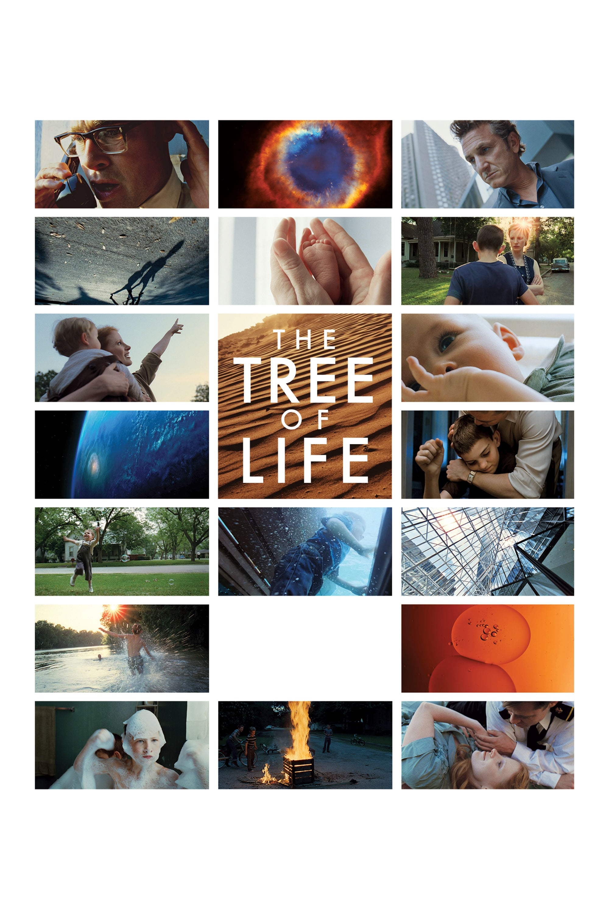 The Tree of Life