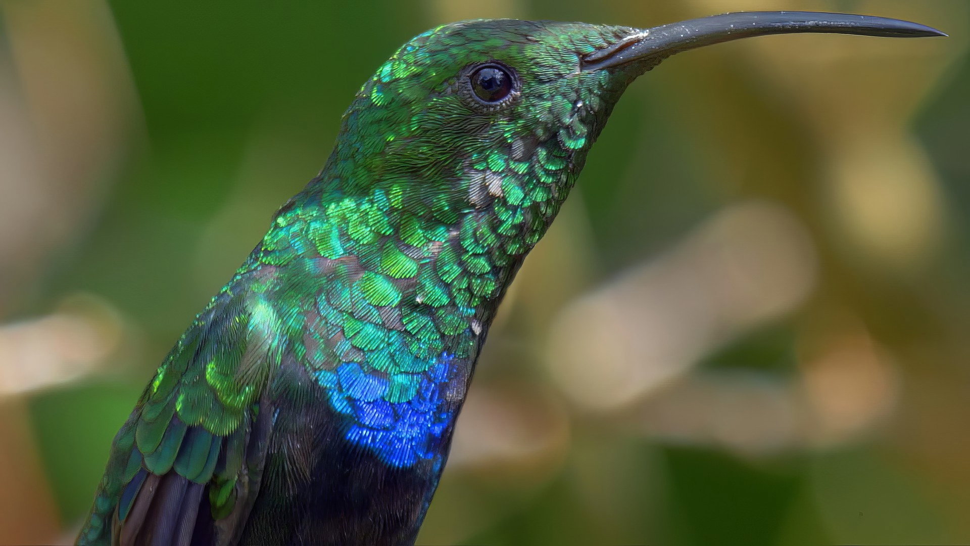 Earth Odyssey with Dylan Dreyer S05E03 backdrop