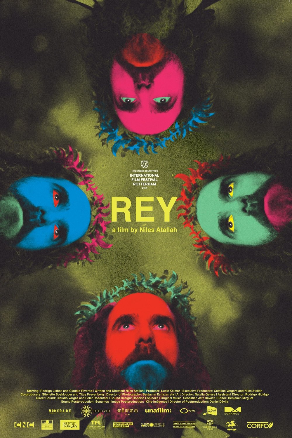 Affiche du film Rey, l'histoire du Français qui voulait devenir Roi de Patagonie 23464