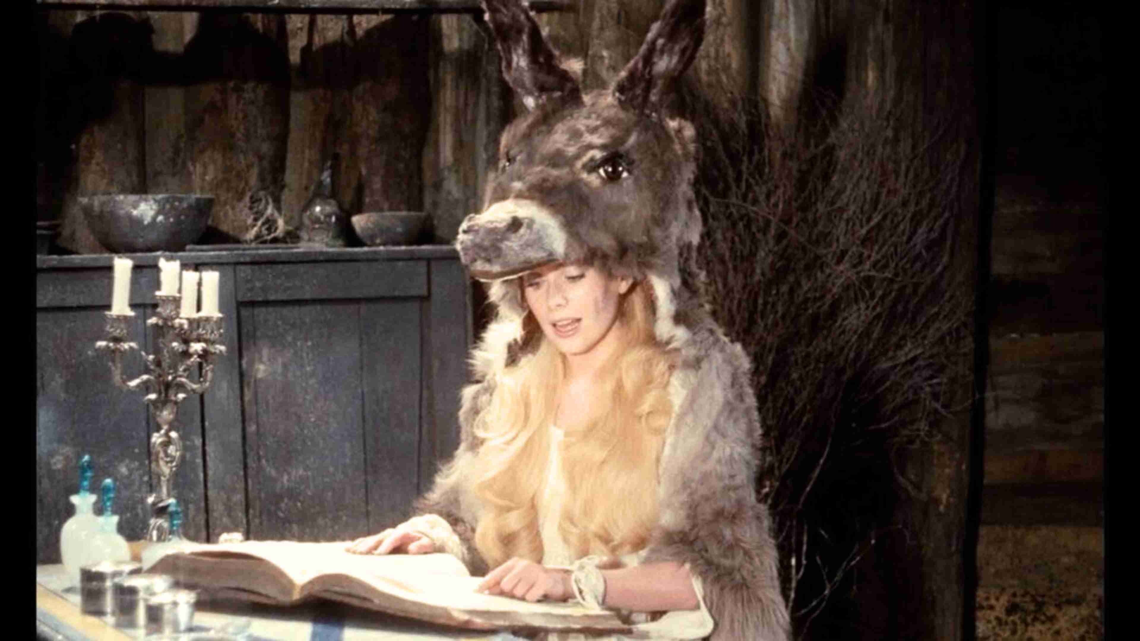 Donkey Skin