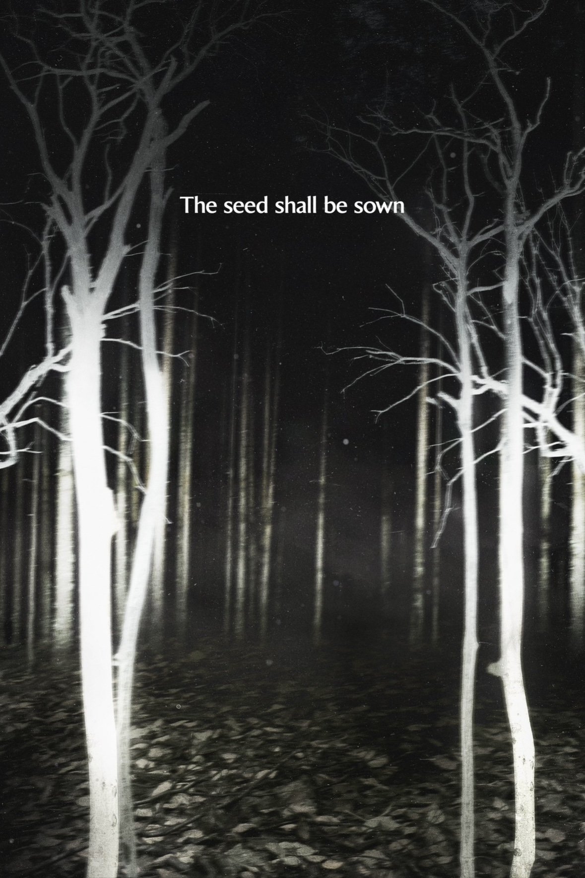 Shelby Oaks
