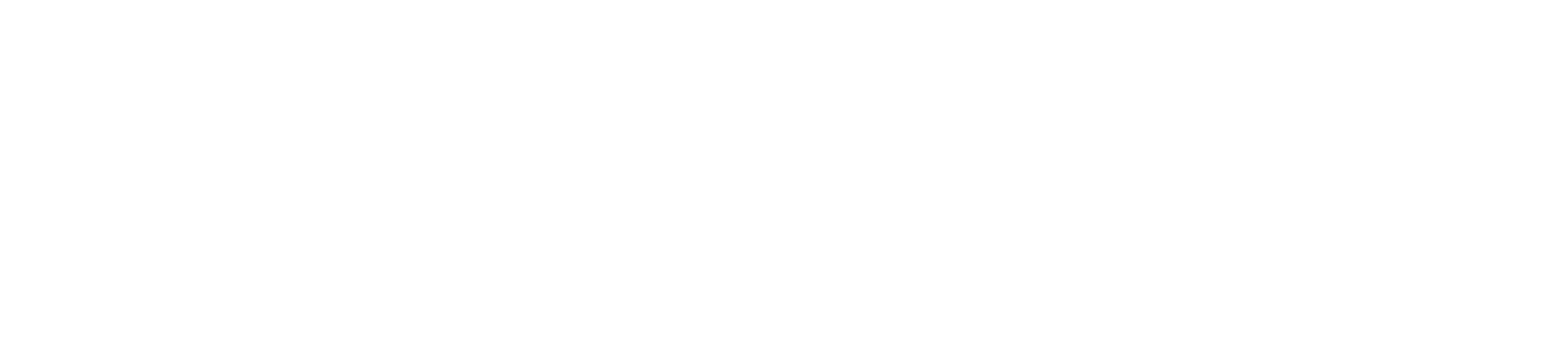Wahl Street Logo