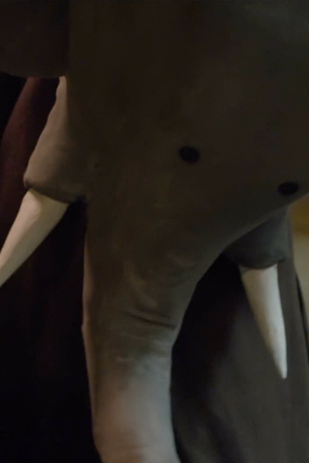 Un éléphant me regarde Un éléphant me regarde