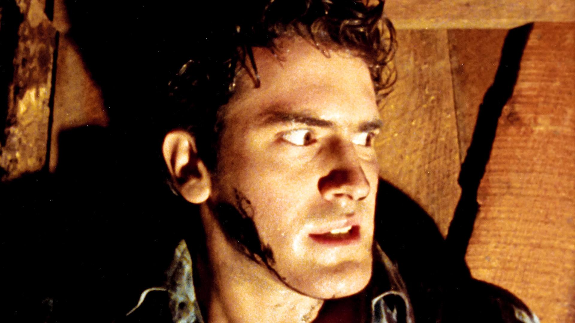 Image du film Evil Dead fekmcivasbeai7aef3gpvb35k8ojpg