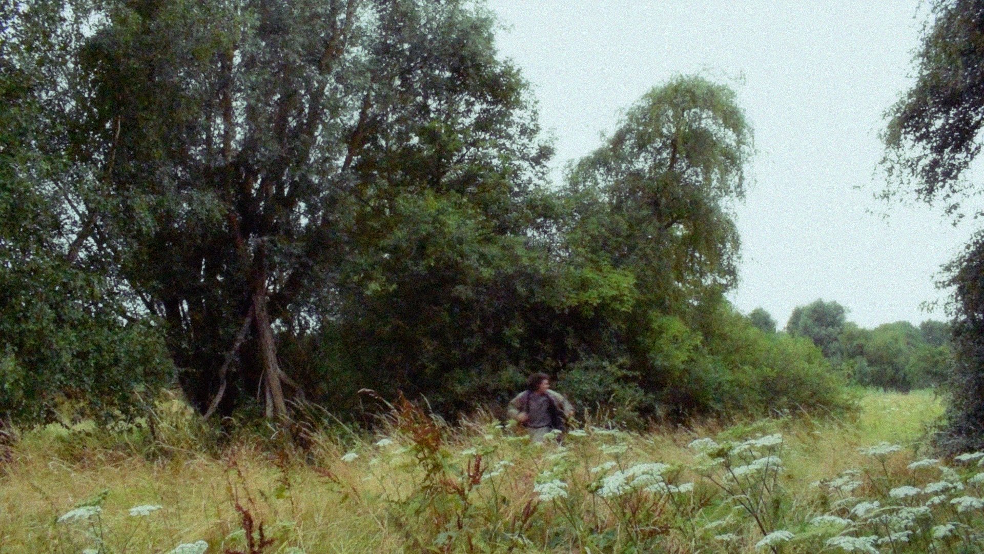 Imagem do Filme The Painting