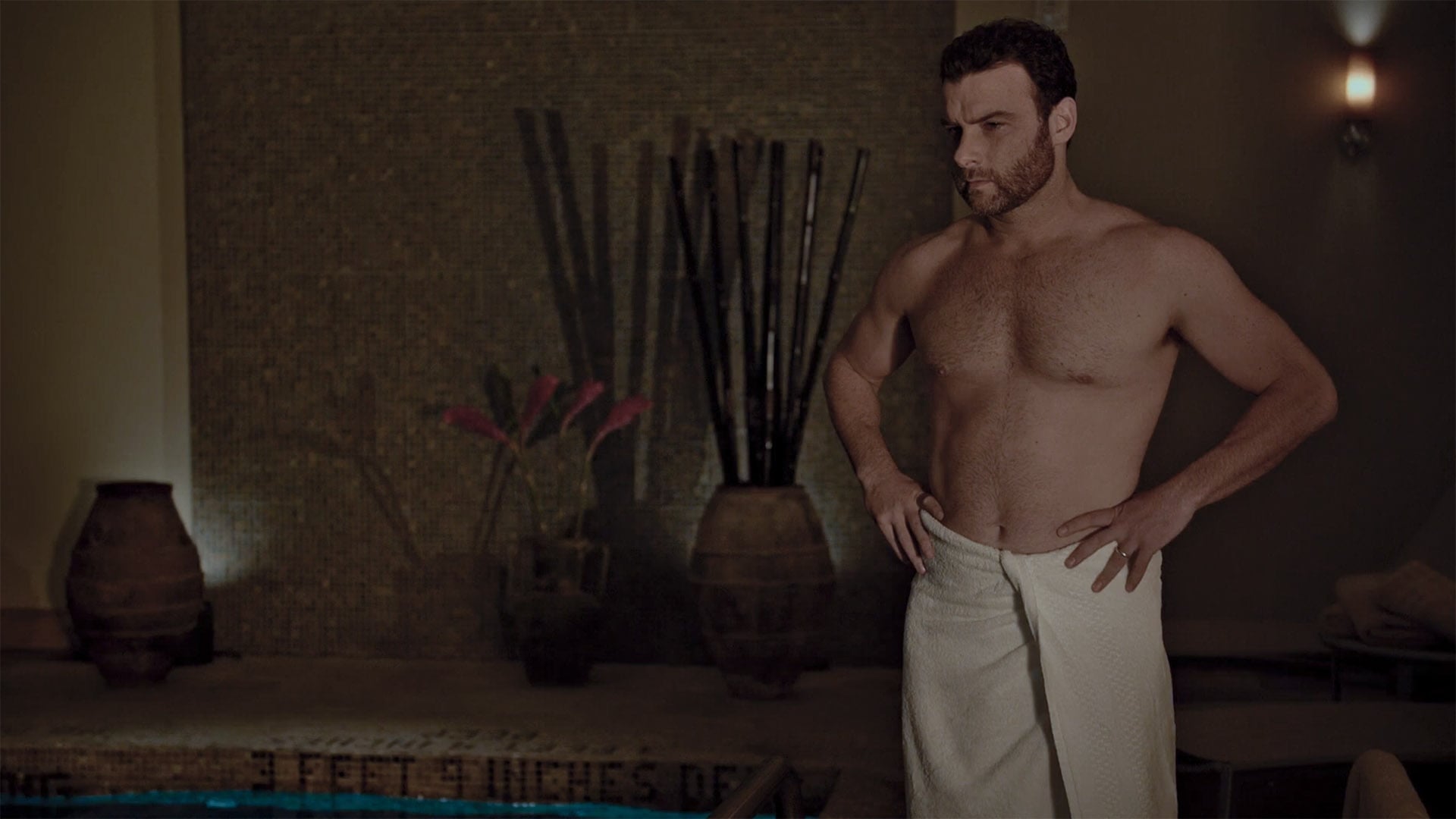 Ned (Liev Schreiber) is in the throes of a mid-life crisis. 