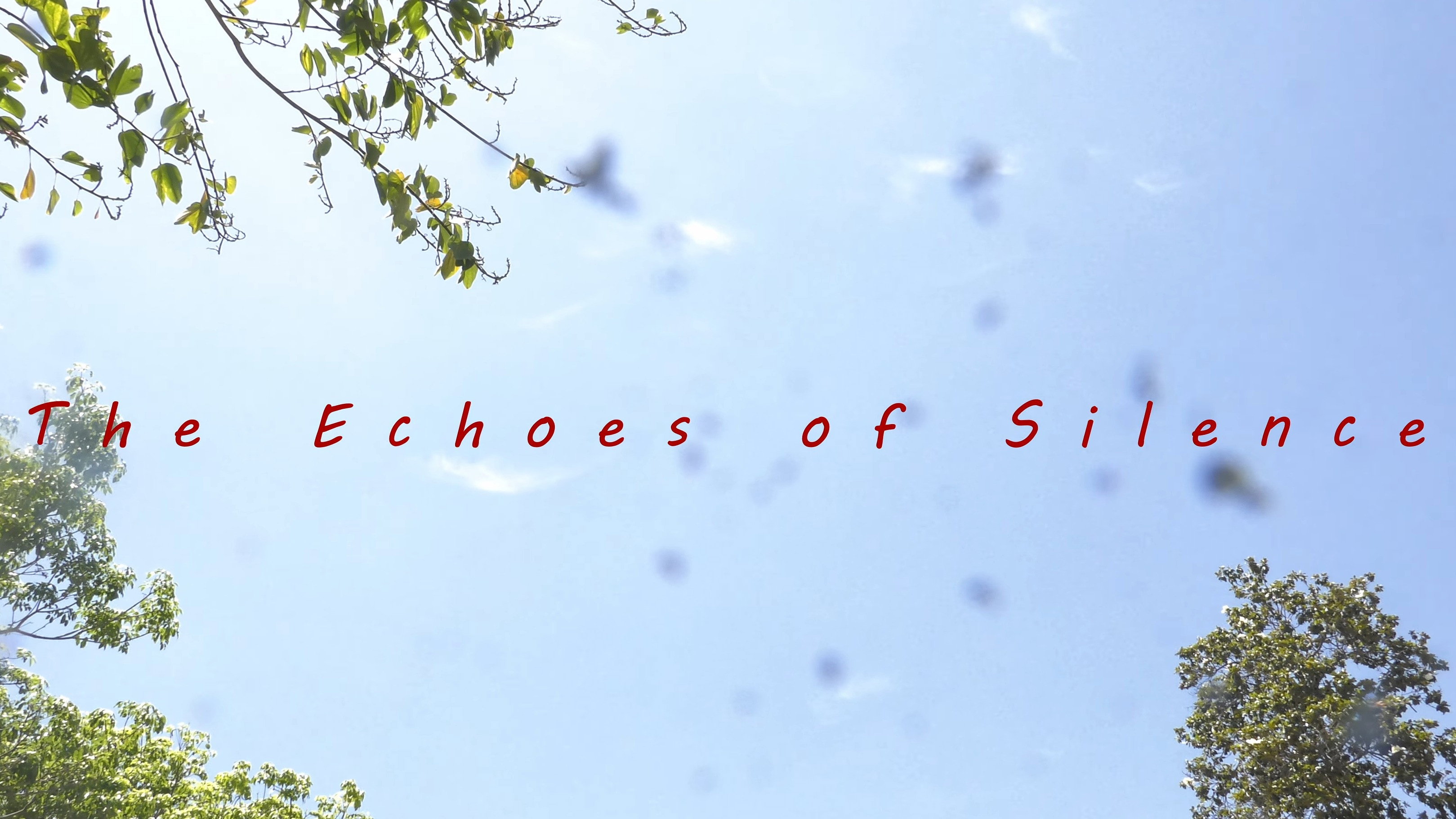 The Echoes of Silence