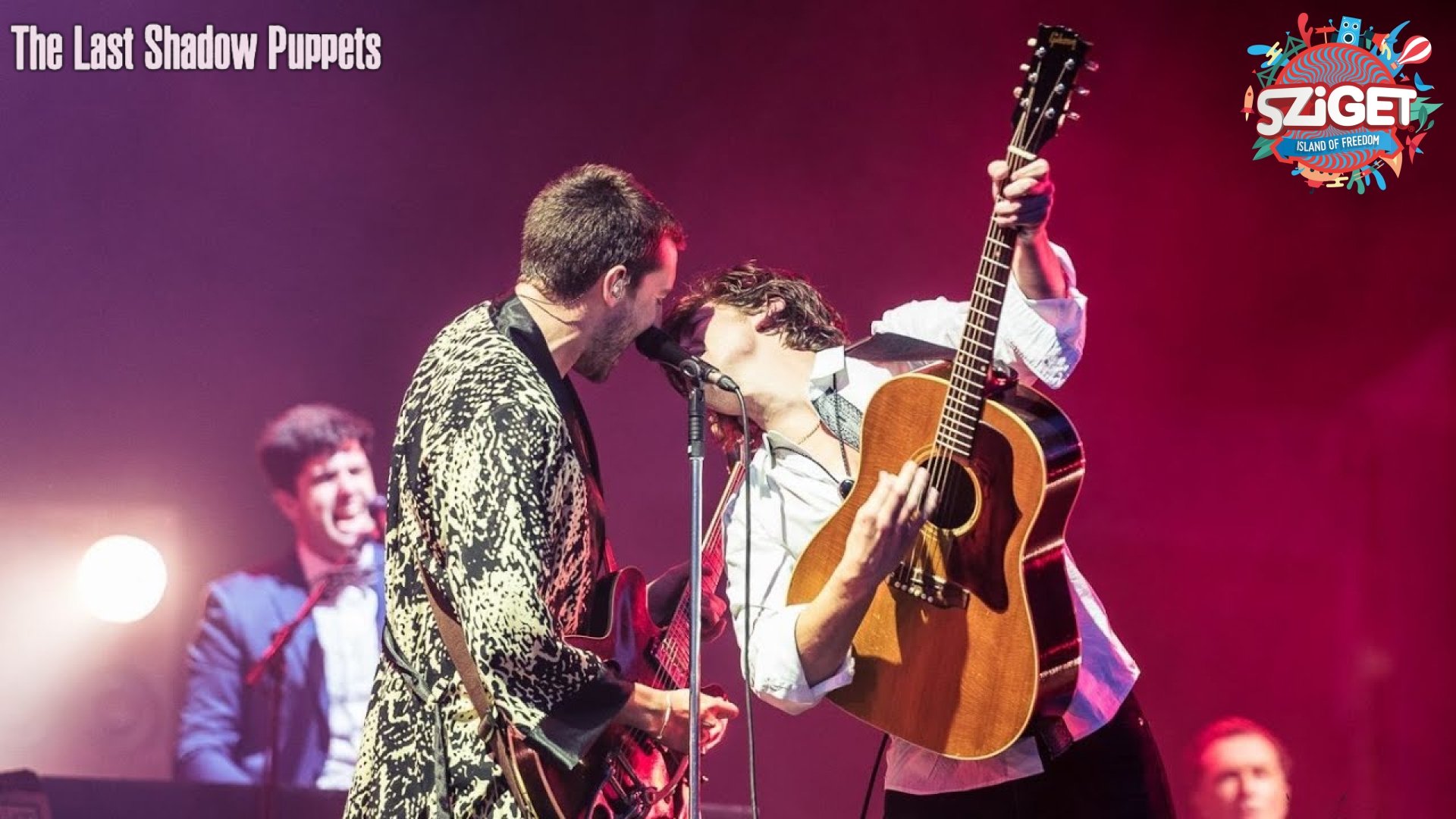 The Last Shadow Puppets at Sziget Festival (2016)