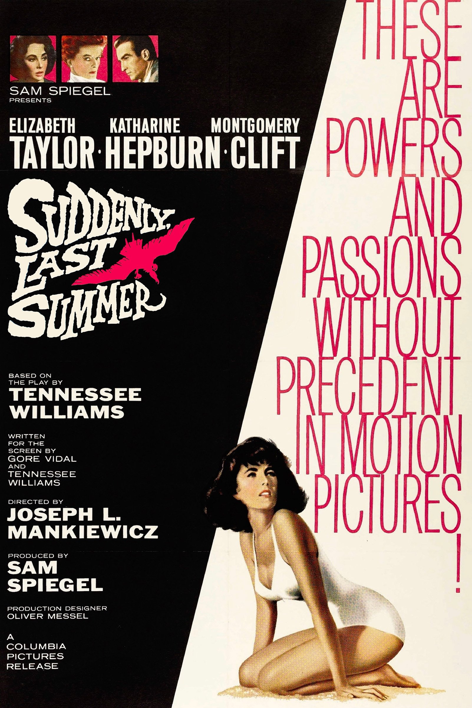 Suddenly, Last Summer