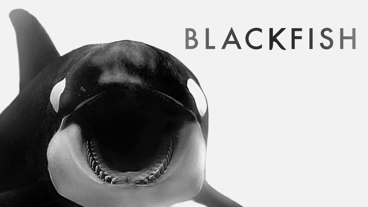 Blackfish: Der Killerwal (2013)