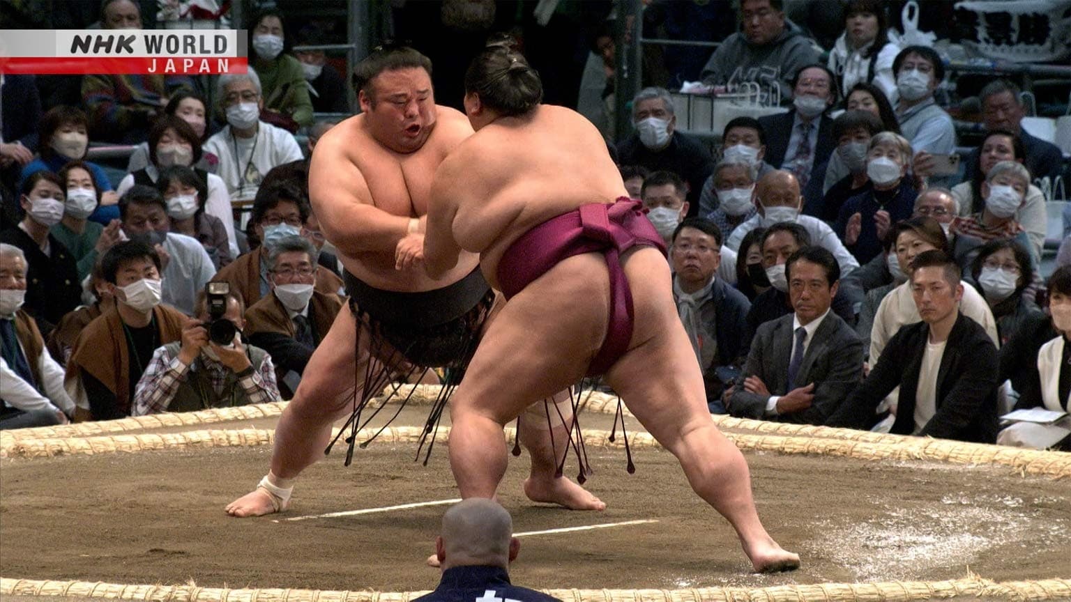 GRAND SUMO Highlights Staffel 16 :Folge 6 