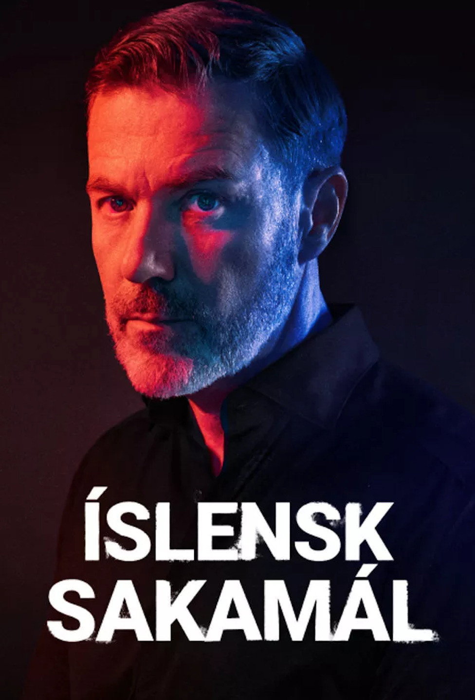 Poster for Íslensk sakamál
