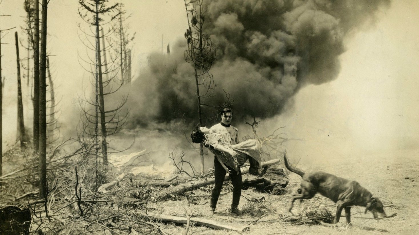 Teeth (1924)