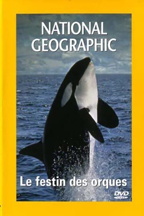 Content cover