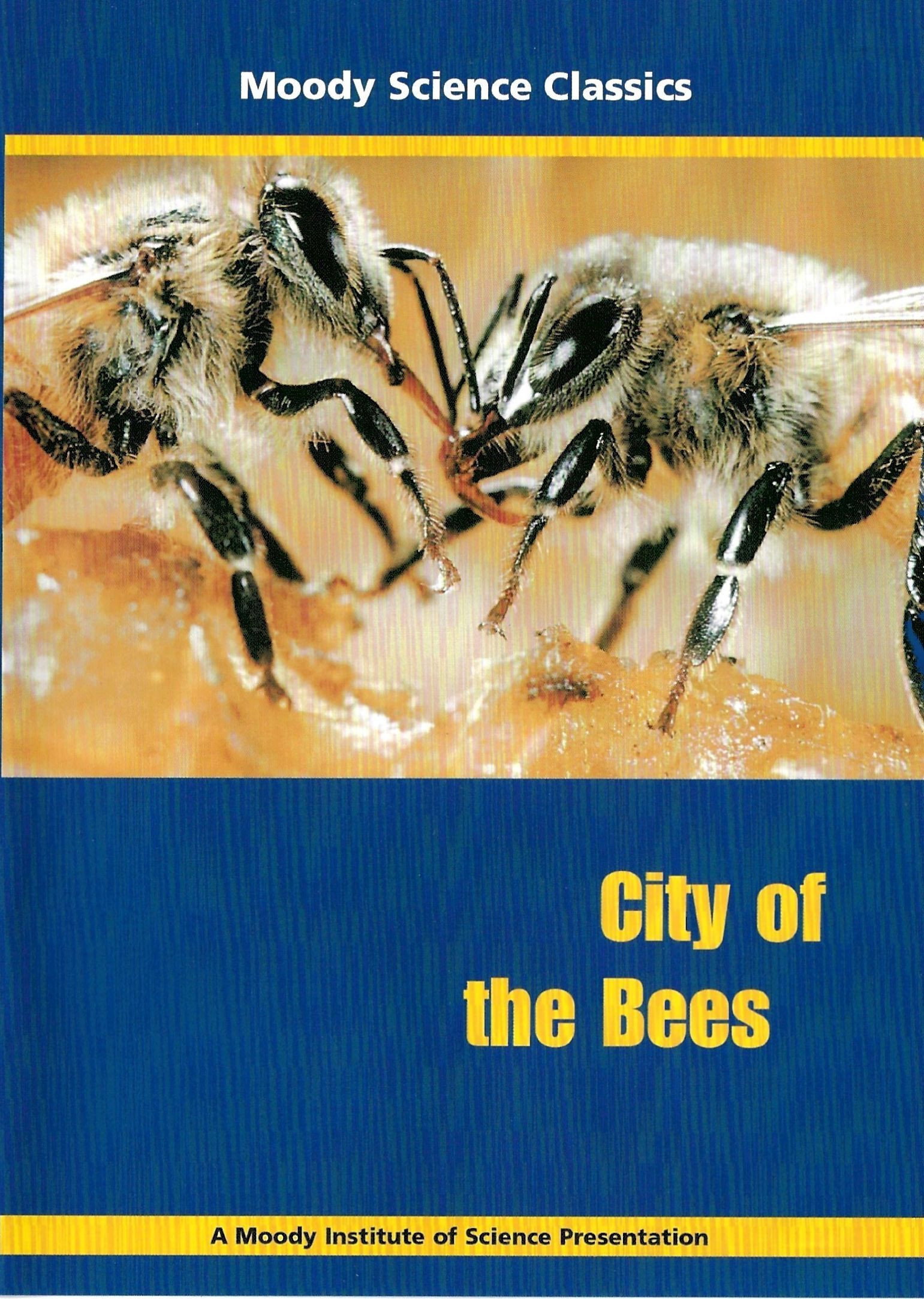 Poster for City of the Bees