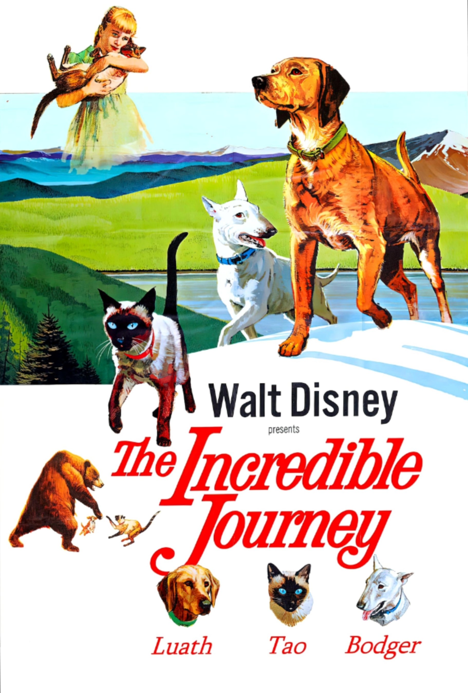 The Incredible Journey