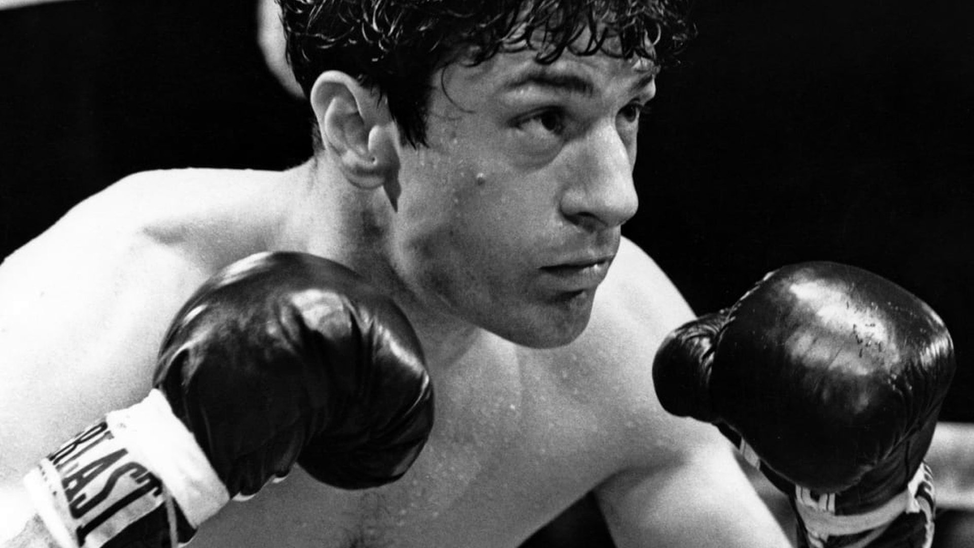 Image du film Raging Bull fjbrlb4pjcfosw8qoxdlkzgwmafjpg