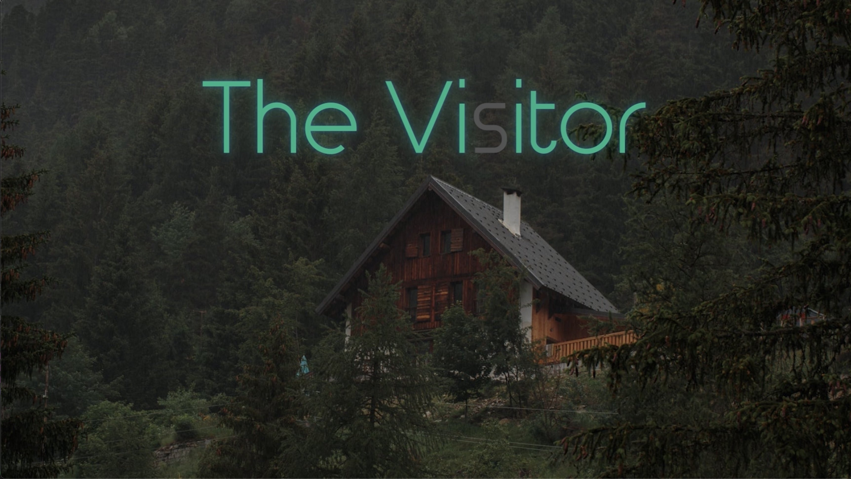 The Visitor