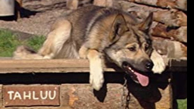 Secrets of the National Parks S01E05 backdrop