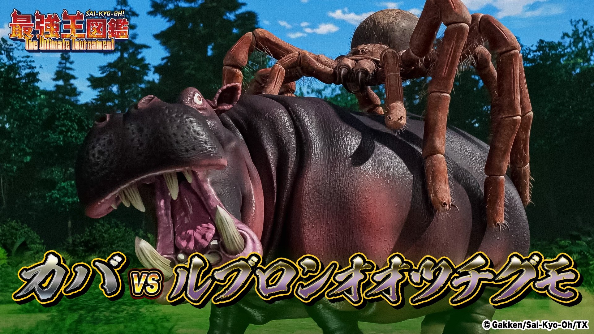Episode 12 Giant Spider VS Hippopotamus